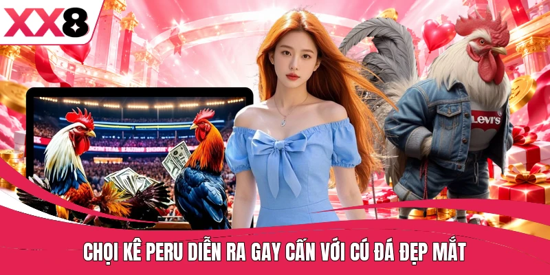Chọi kê Peru diễn ra gay cấn với cú đá đẹp mắt