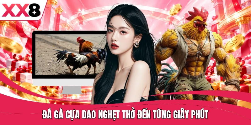 Đá gà cựa dao nghẹt thở đến từng giây phút