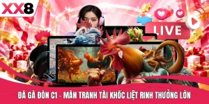 Đá Gà Đòn C1 - Màn Tranh Tài Khốc Liệt Rinh Thưởng Lớn