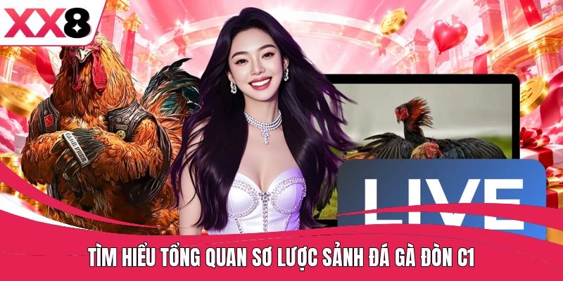 Tìm hiểu tổng quan sơ lược sảnh đá gà đòn C1