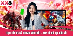 Trực Tiếp Đá Gà Thomo Mới Nhất - Xem Đá Gà Cựa Sắc Nét