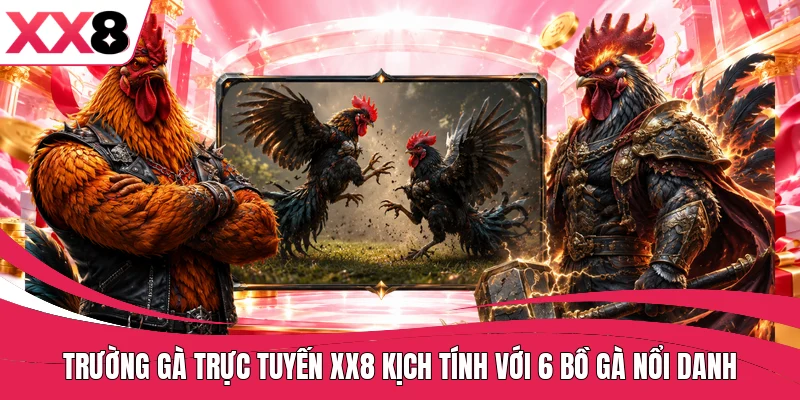 Trường gà trực tuyến XX8 kịch tính với 6 bồ gà nổi danh