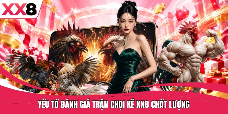 Yếu tố đánh giá trận chọi kê XX8 chất lượng